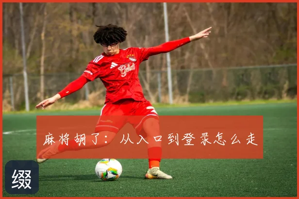 麻将胡了：从入口到登录怎么走
