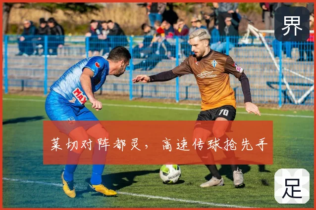 莱切对阵都灵,高速传球抢先手